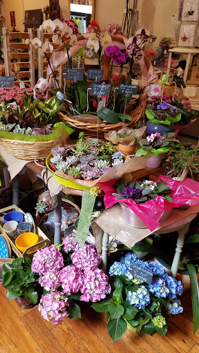 Consignment Shop «Old Bank Flowers Art and Marketplace», reviews and photos, 66 Main St, East Hampton, CT 06424, USA