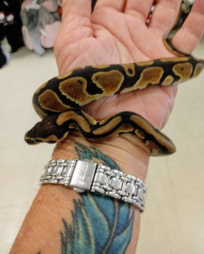 Pet Supply Store «PetSmart», reviews and photos, 1900 W International Speedway Blvd, Daytona Beach, FL 32114, USA