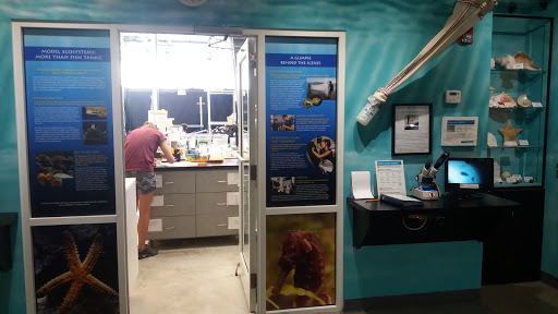 Aquarium «St. Lucie County Aquarium», reviews and photos, 420 Seaway Dr, Fort Pierce, FL 34949, USA