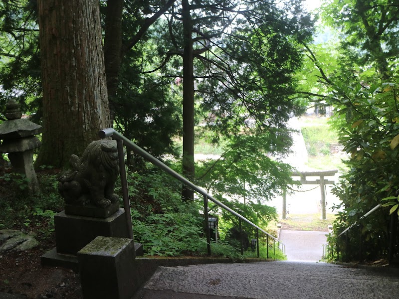 諏訪神社の栃の木