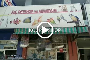 Koç Petshop Ve Akvaryum image