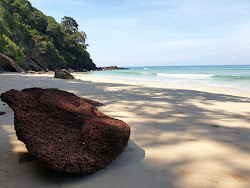 Abalone Beach'in fotoğrafı düz bir kıyı şeridi ile birlikte