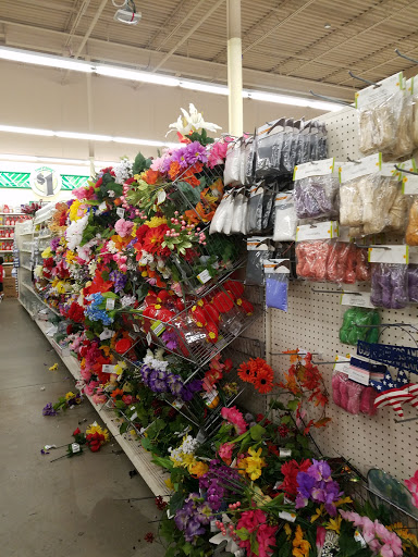 Dollar Store «Dollar Tree», reviews and photos, 950 American Legion Hwy, Boston, MA 02131, USA