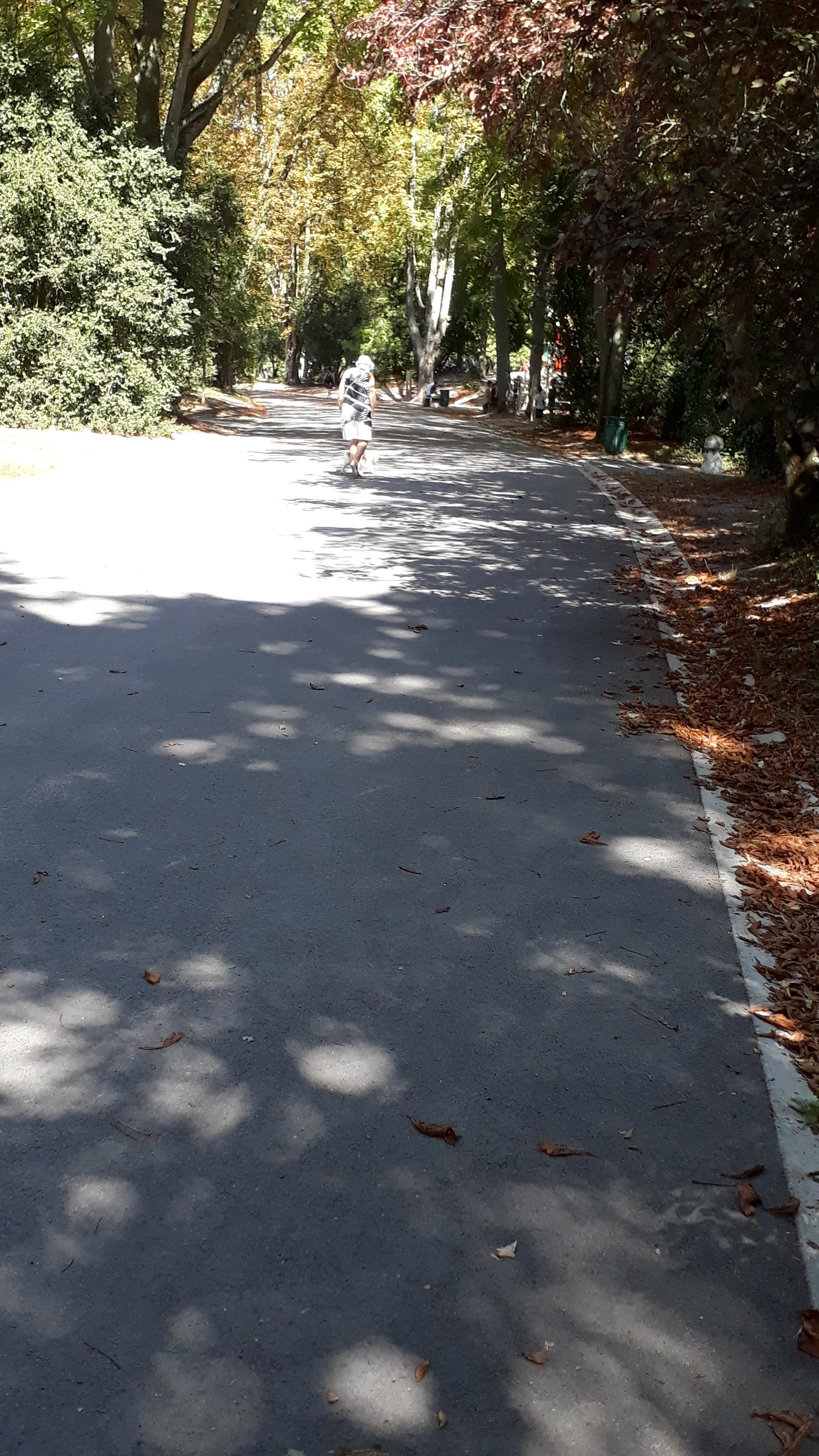 Photo n° 10 de l'avis de Veronique.a fait le 15/09/2019 à 13:59