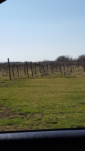 Vineyard «Sleepy Creek Vineyards», reviews and photos, 8254 E 1425 North Rd, Fairmount, IL 61841, USA