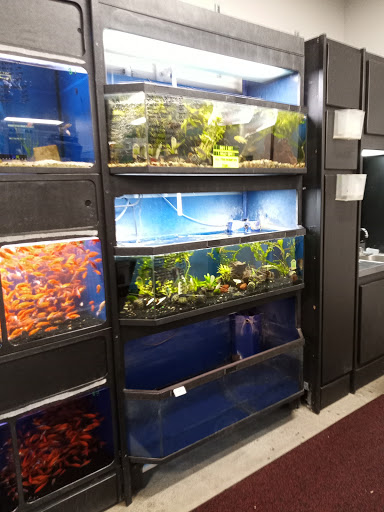 Pet Store «Carters Pet Mart», reviews and photos, 510 N Main St, Manteca, CA 95336, USA