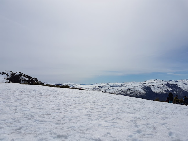 Opiniones de Cordillera De Vilches en San Clemente - Restaurante