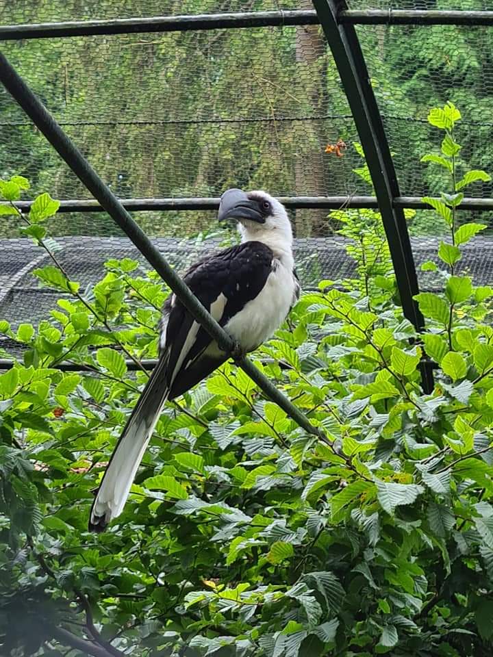 Photo n° 21 de l'avis de Maïté.e fait le 03/08/2022 à 19:24