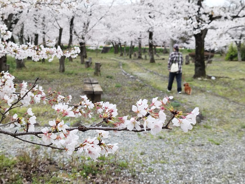 旗川緑地公園