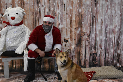 Pet Supply Store «Thomaston Feed of Cheshire», reviews and photos, 851 S Main St, Cheshire, CT 06410, USA