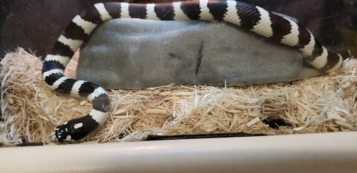 Pet Supply Store «PetSmart», reviews and photos, 1020 Veterans Pkwy #900, Clarksville, IN 47129, USA