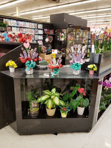 Grocery Store «Winn-Dixie», reviews and photos, 3850 N 46th Ave, Hollywood, FL 33021, USA