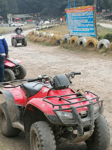 Pony riding places in Toluca de Lerdo