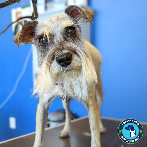 Pet Store «Healthy Pets Mountain West», reviews and photos, 2352 Fort Union Blvd, Cottonwood Heights, UT 84121, USA