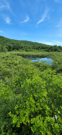 Nature Preserve «Macricostas Preserve», reviews and photos, 121 Christian St, New Preston, CT 06777, USA