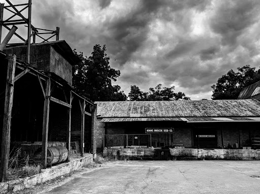 Pet Supply Store «Adams-Briscoe Seed Co», reviews and photos, 325 E 2nd St, Jackson, GA 30233, USA