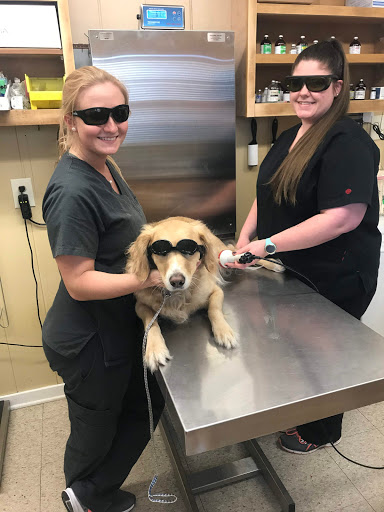 Huntcliff Veterinary Clinic image