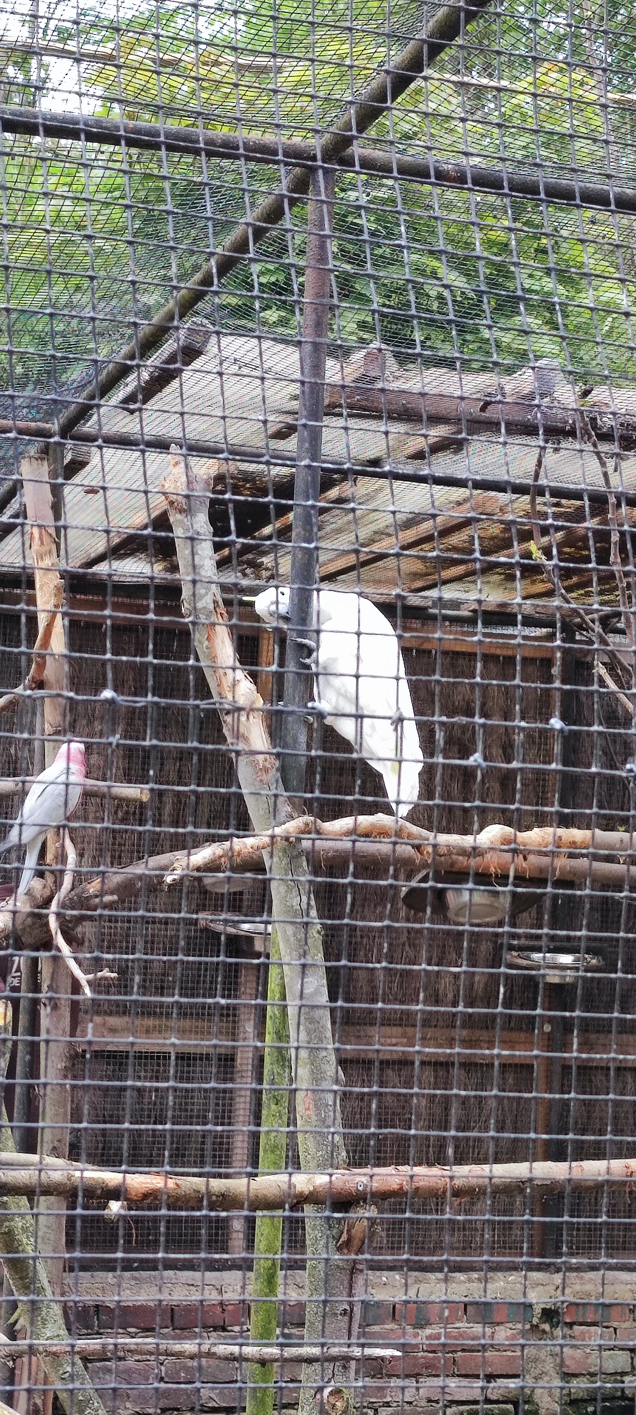 Photo n° 11 de l'avis de Nadia. fait le 29/04/2023 à 16:51