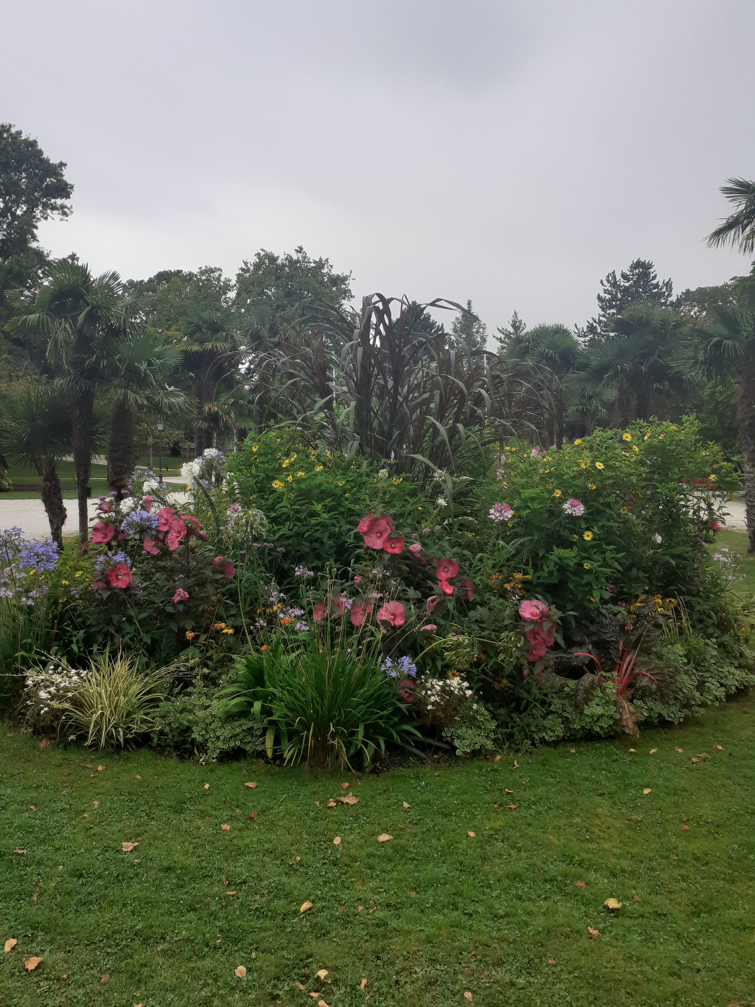 Photo n° 3 de l'avis de Alexandre.a fait le 18/08/2021 à 07:17