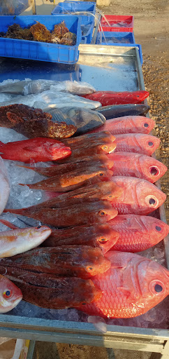 Top 20 cửa hàng akemi Huyện Lý Sơn Quảng Ngãi 2022