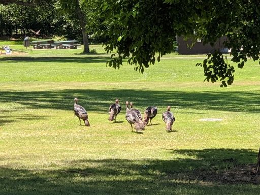 Blue Rock Springs Park image