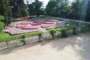Flores Garden image