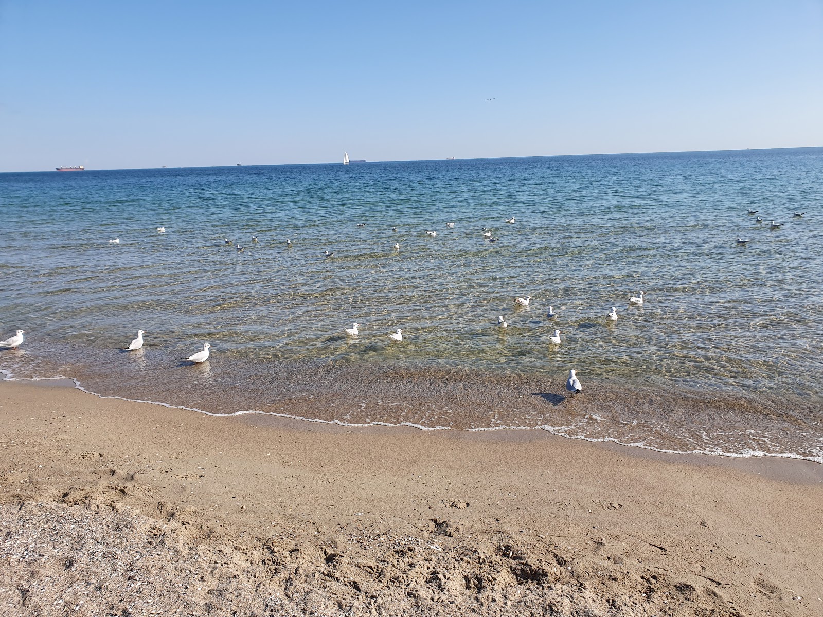 Photo de Mis'kyy Plyazh avec plusieurs baies spacieuses