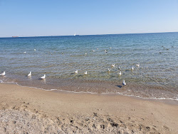 Photo de Mis'kyy Plyazh avec plusieurs baies spacieuses