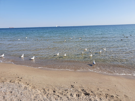 Mis'kyy Plyazh