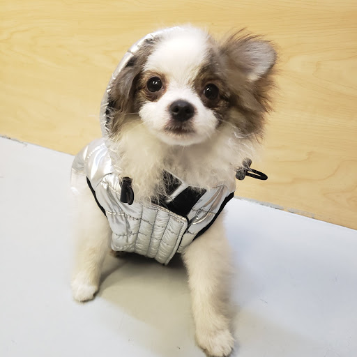 Pet Store «Pet Express», reviews and photos, 250 Granite St, Braintree, MA 02184, USA