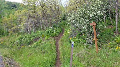 Private Golf Course «Jeremy Ranch Golf & Country Club», reviews and photos, 8770 Jeremy Rd, Park City, UT 84098, USA