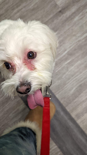 Pet Supply Store «Dogge Style Pets Passyunk», reviews and photos, 1700 E Passyunk Ave, Philadelphia, PA 19148, USA