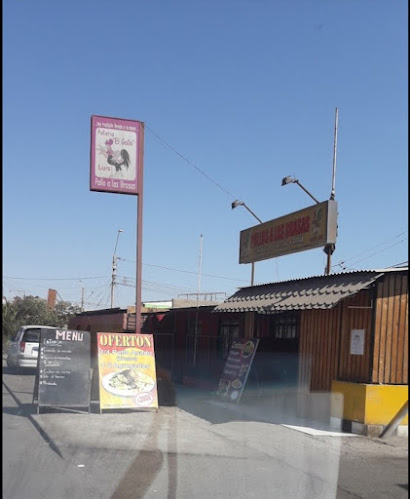 Opiniones de el gallo luis en Arica - Restaurante