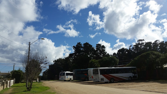 Buses Traparu - El Bosque