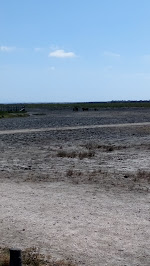 Parc naturel régional de Camargue du Restaurant brunch La Bohème by JF à Saintes-Maries-de-la-Mer - n°1