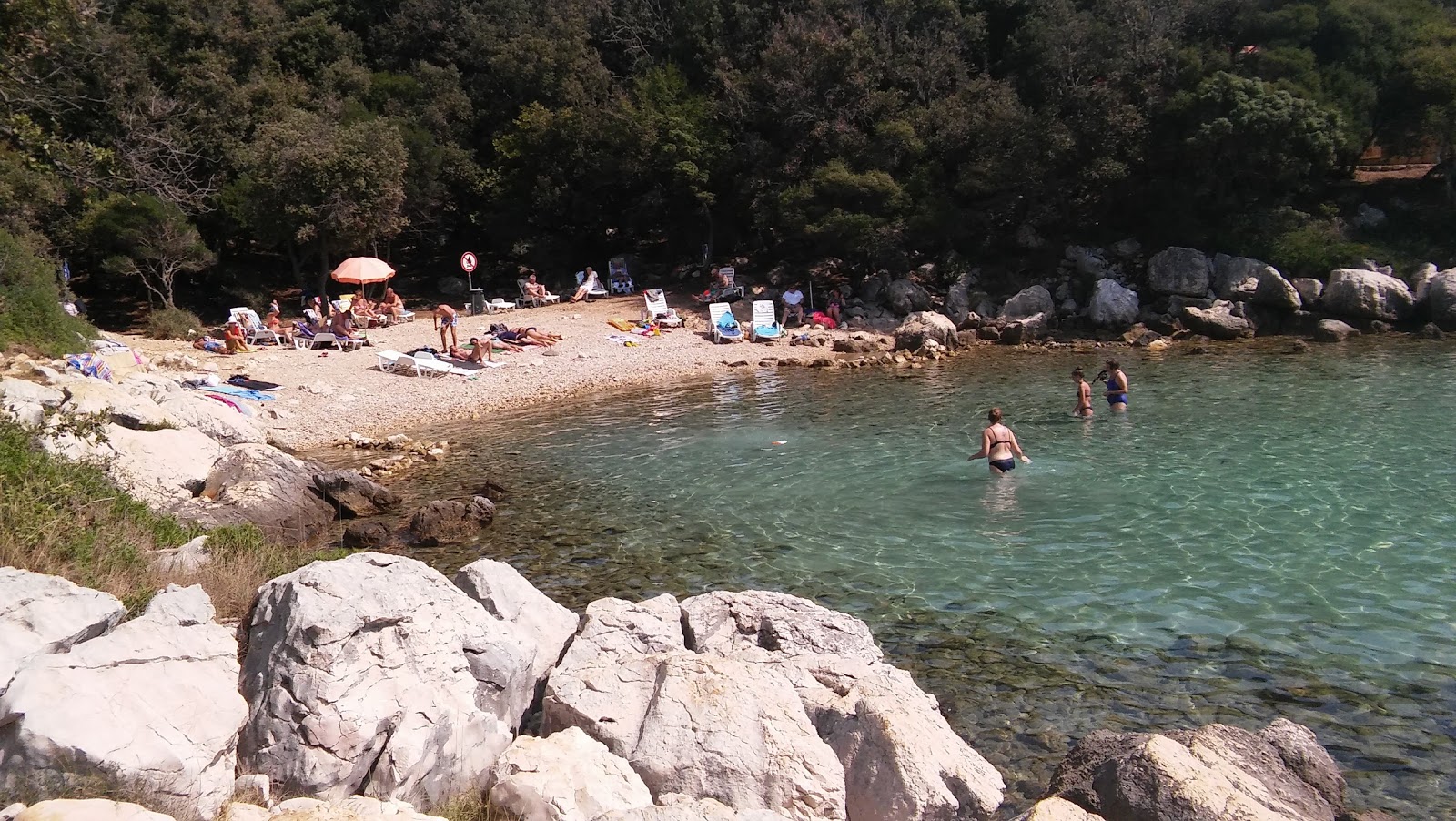 Photo of Jelenovica beach with very clean level of cleanliness