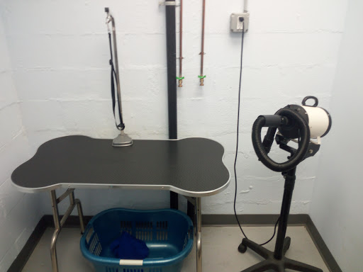 Pet Supply Store «Croton Pet Station», reviews and photos, 420 S Riverside Ave, Croton-On-Hudson, NY 10520, USA