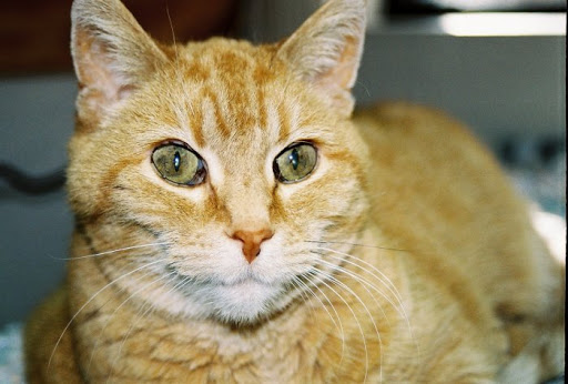 1430 Marshall Ave, St Paul, MN 55104, USA