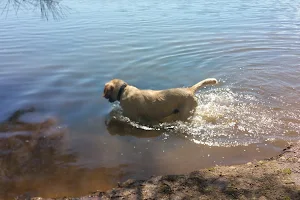 Dog Beach Park image