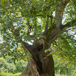 Photo n°3 de l'avis de Gesa.o fait le 28/09/2021 à 16:43 sur le  Höhengasthaus Haldenhof à Überlingen