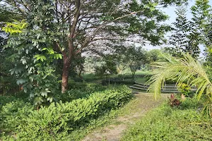 Taman Urban Forest Bengawan Solo image