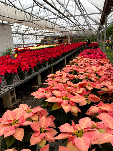 Garden Center «Quality Gardens», reviews and photos, 409 PA-228, Valencia, PA 16059, USA