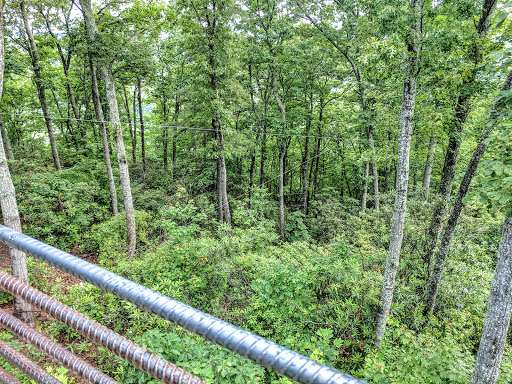 Tourist Attraction «The Gorge - A Zipline Canopy Tour», reviews and photos, 166 Honey Bee Dr, Saluda, NC 28773, USA