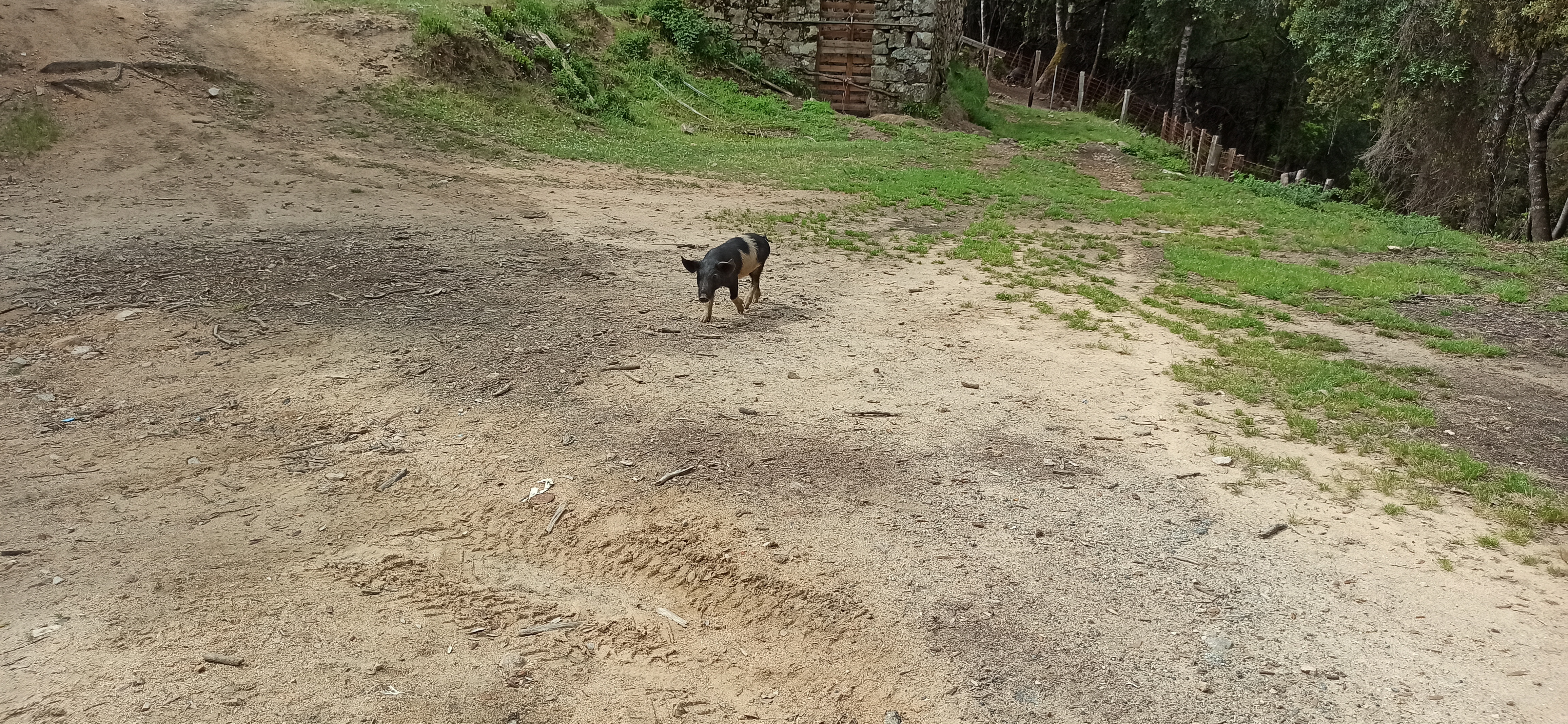 Photo n° 3 de l'avis de Patrick.e fait le 13/05/2023 à 12:17