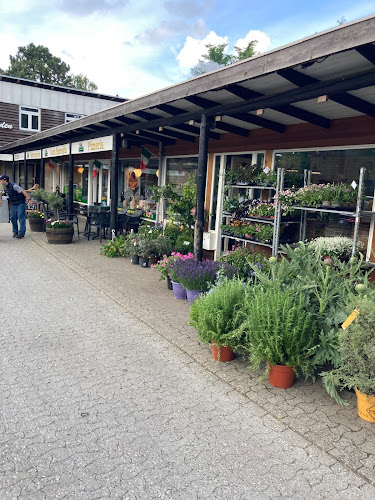 Cömert Blomster Rungsted