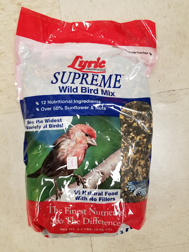 Discount Store «Ocean State Job Lot», reviews and photos, 141 Newport Ave, Quincy, MA 02171, USA