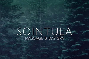 Sointula Massage and Day Spa image
