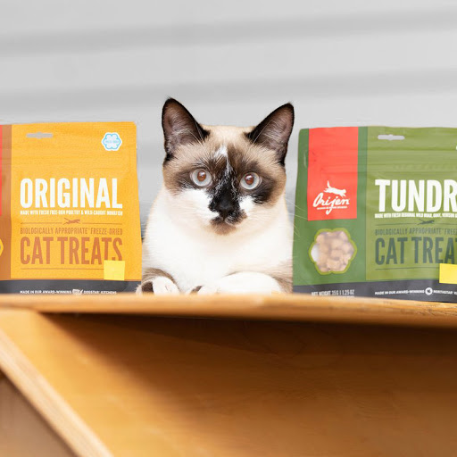 Pet Supply Store «Dogge Style Pets Passyunk», reviews and photos, 1700 E Passyunk Ave, Philadelphia, PA 19148, USA