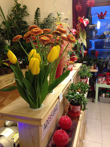 Pipacs Virágbolt, Ajándéküzlet és Kézműves Alkotóműhely - Virágárus