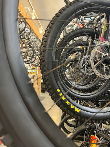 Bicycle Store «Tam Bikes», reviews and photos, 357 Miller Ave, Mill Valley, CA 94941, USA